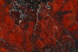 Polished Stromatolite (Collenia) Slab - Minnesota #129233-1